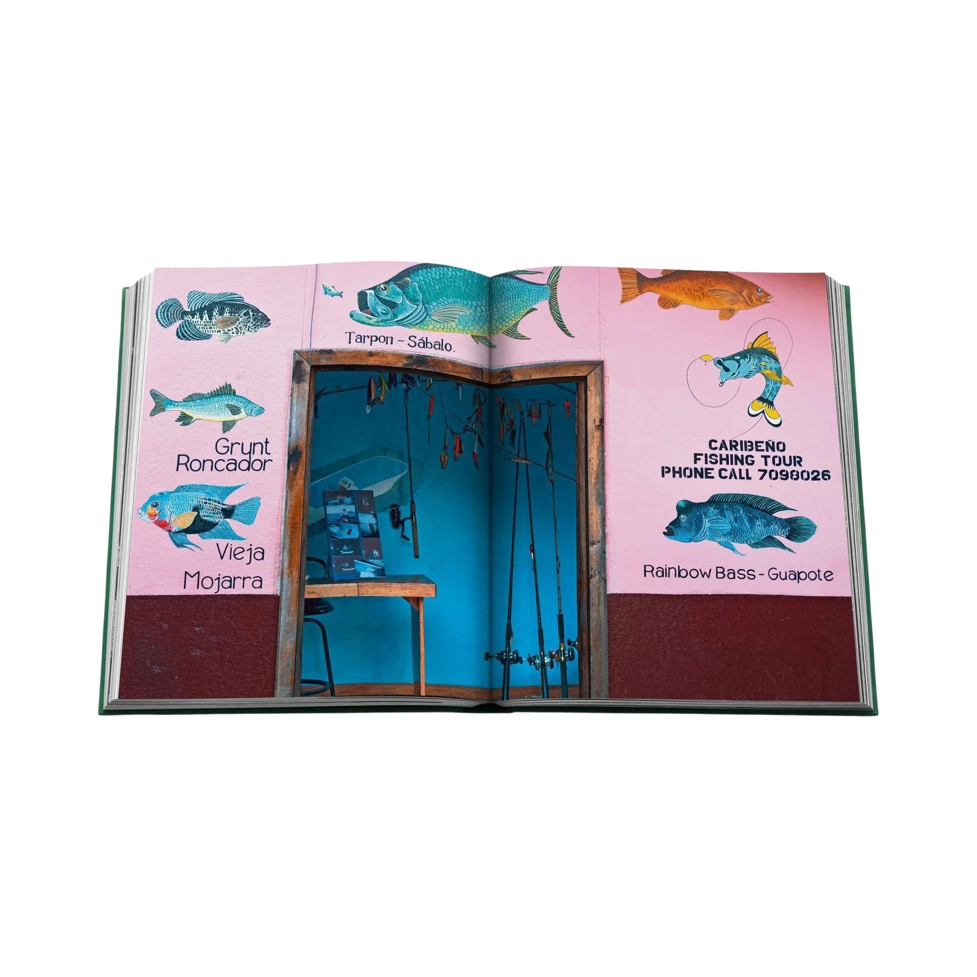 Miniatura 5